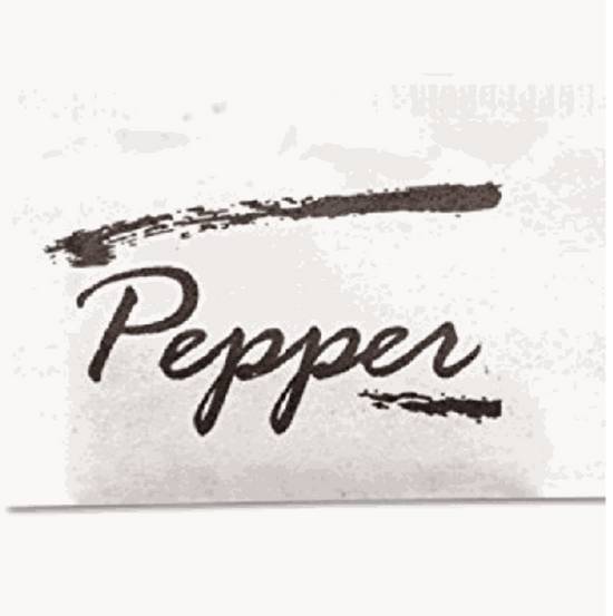 Order 2 Black Pepper Packets food online from IV Deli Mart store, Goleta on bringmethat.com