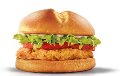 Order Chicken Burger food online from Dr Burger store, Manhattan on bringmethat.com