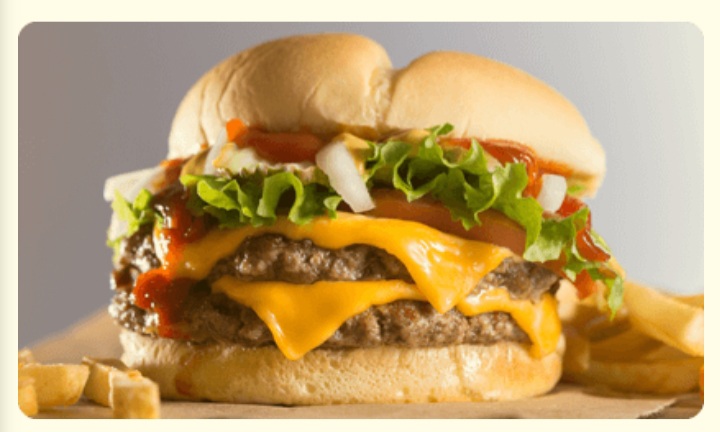 Order Classic Burger food online from FN Burgers store, Salisbury on bringmethat.com