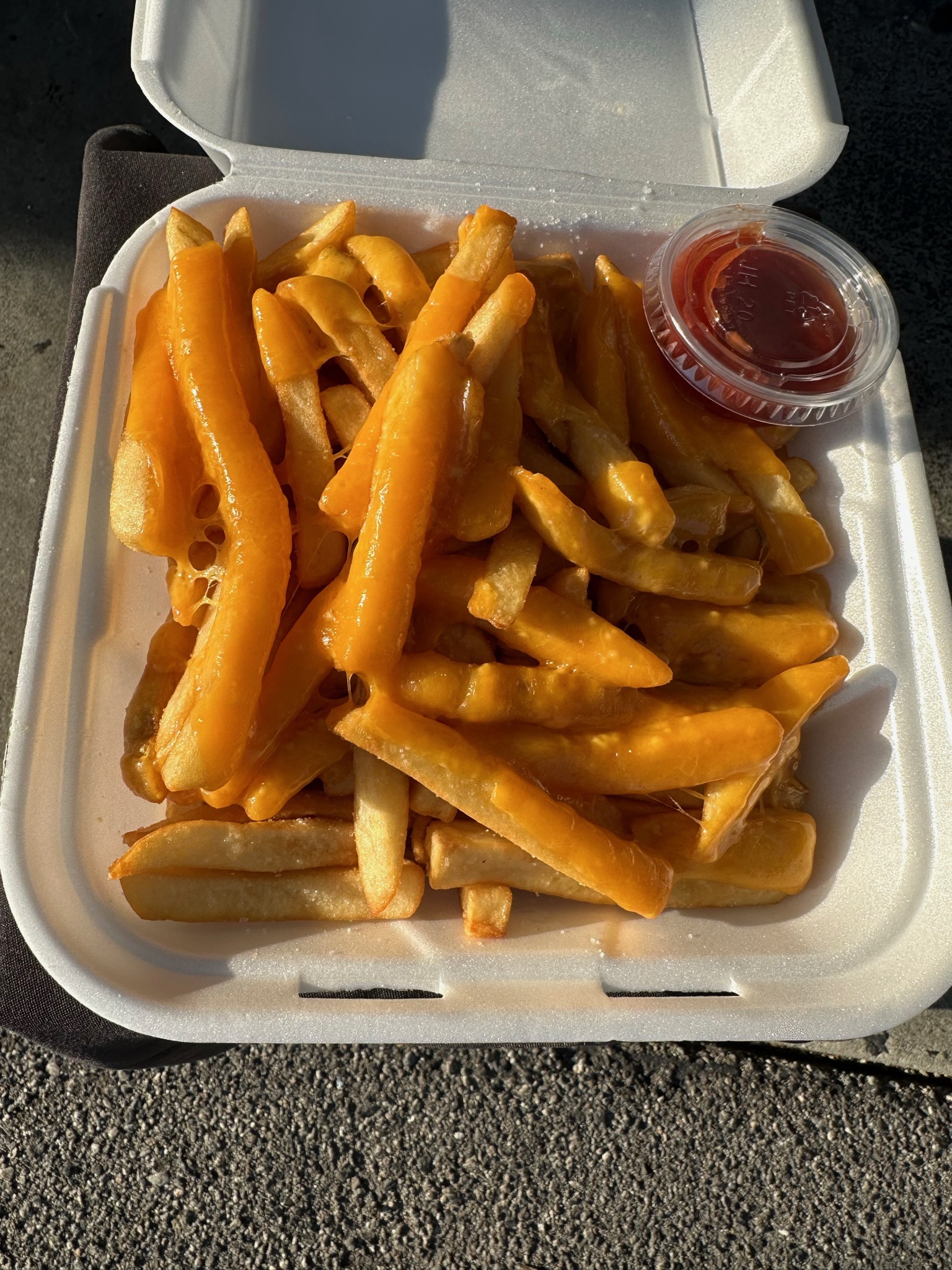 Order (L) cheese fries food online from Sepan Chicken store, Los Angeles on bringmethat.com
