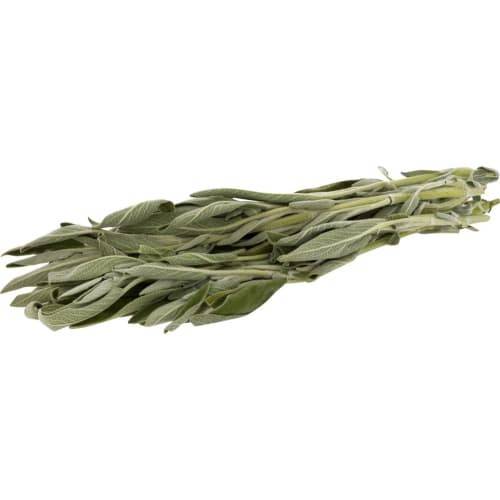 Order Fresh Sage (1 bunch) food online from Vons store, Montrose on bringmethat.com