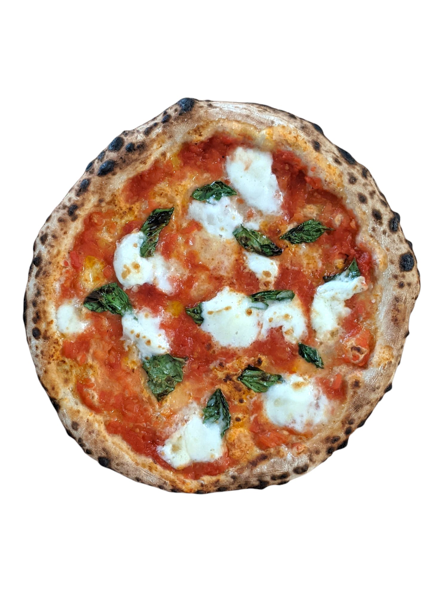 Order True Neapolitan Pizza - 12'' (6 Slices) food online from Mangia Macrina's Wood Fired Pizza store, New Hartford on bringmethat.com