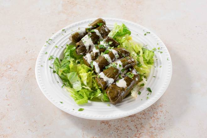 Order Grape Leaves food online from Shawarma House store, Garden Grove on bringmethat.com
