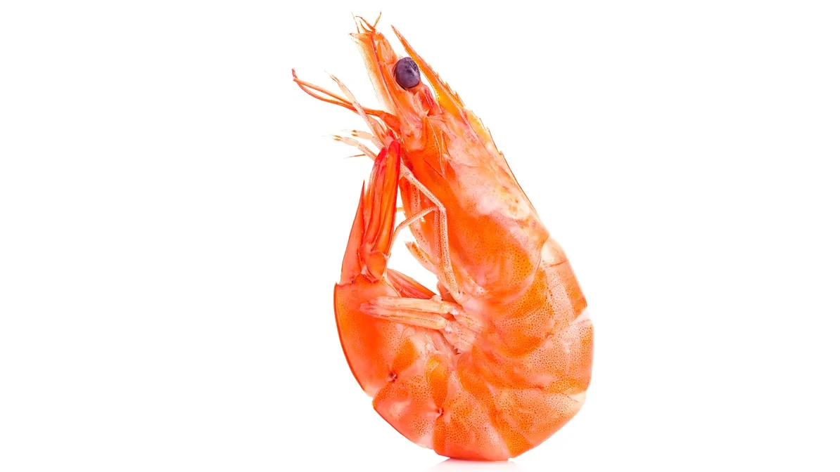 Order Shrimp Head On 1/2 lb. food online from Red Crab Juicy Seafood store, Cleveland on bringmethat.com