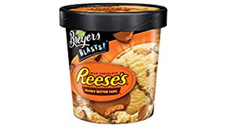 Order Peanut Butter With Reese's Peanut Butter Cup Pieces And A Fudge Swirl Frozen Dairy Dessert food online from Energy Mart 3 store, Hendersonville on bringmethat.com