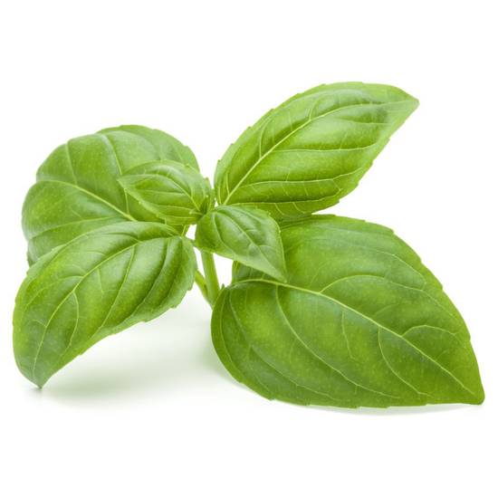 Order Basil (1 bunch) food online from Safeway store, Apache Junction on bringmethat.com