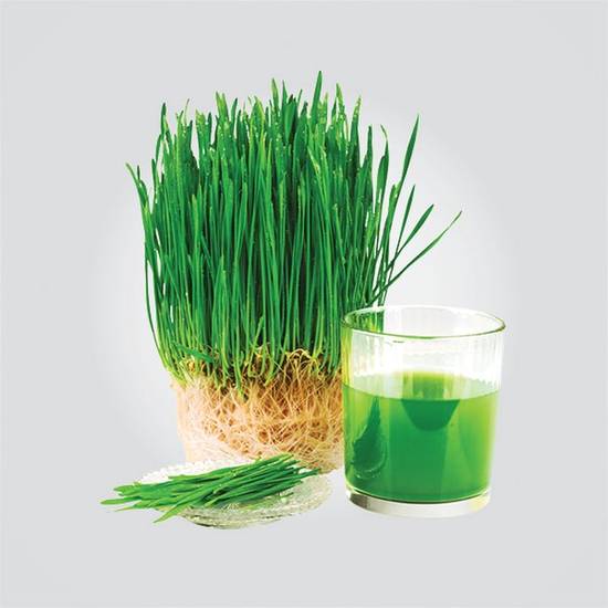 Order Wheat Grass Shot food online from Keva Juice # 13 store, Albuquerque on bringmethat.com
