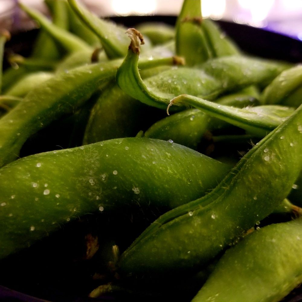 Order Edamame food online from Tokyo store, Fall River on bringmethat.com