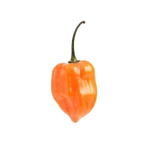 Order Habanero Peppers (1 pepper) food online from Albertsons Express store, Surprise on bringmethat.com
