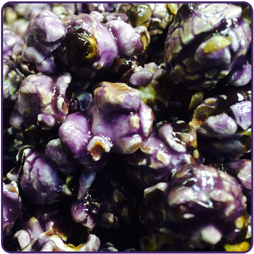 Order Grape Popcorn food online from Jazzy Gourmet Popcorn store, Eagle River on bringmethat.com