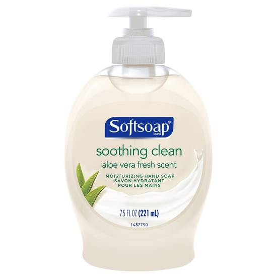 Order Softsoap Liquid Hand Soap Pump 7.5 OZ, Soothing Aloe Vera food online from CVS store, Janesville on bringmethat.com