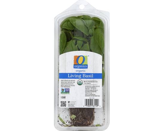 Order O Organics · Living Basil (1 ct) food online from Safeway store, Napa on bringmethat.com