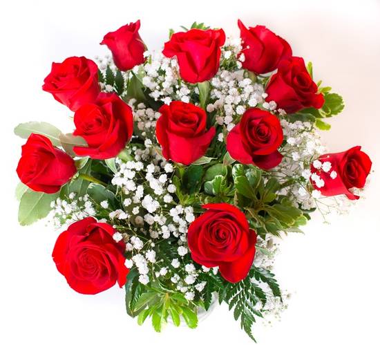 Order Dozen Red Rose Arrangement - premium vase food online from Proflowers store, Healdsburg on bringmethat.com