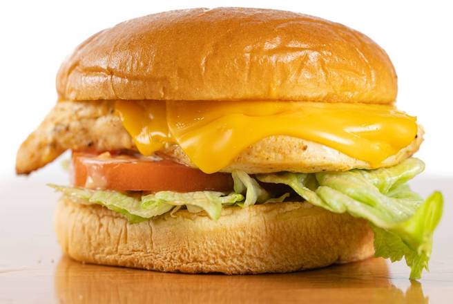 Order Grilled Chicken Sandwich food online from Halal House store, Northridge on bringmethat.com