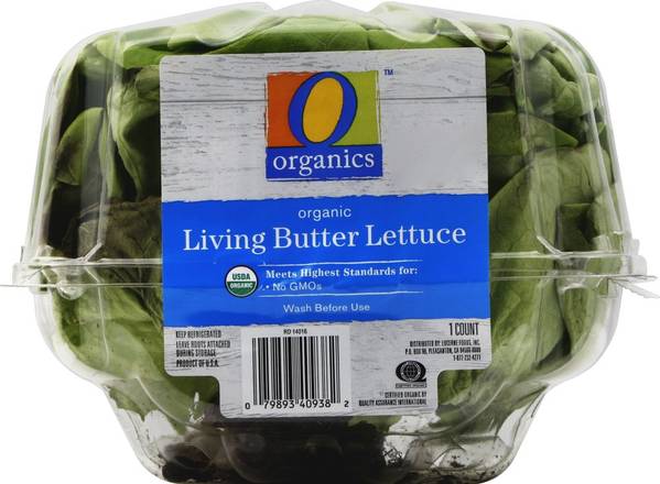 Order O Organics · Living Butter Lettuce (1 lettuce) food online from Albertsons store, Eugene on bringmethat.com