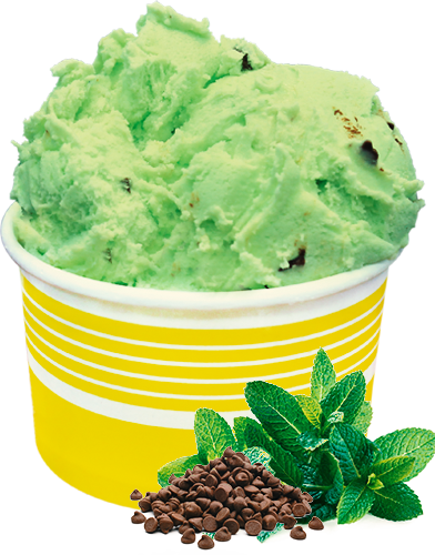 Order Mint Chocolate Chip Ice Cream  food online from Sweet Heart store, Belmont on bringmethat.com