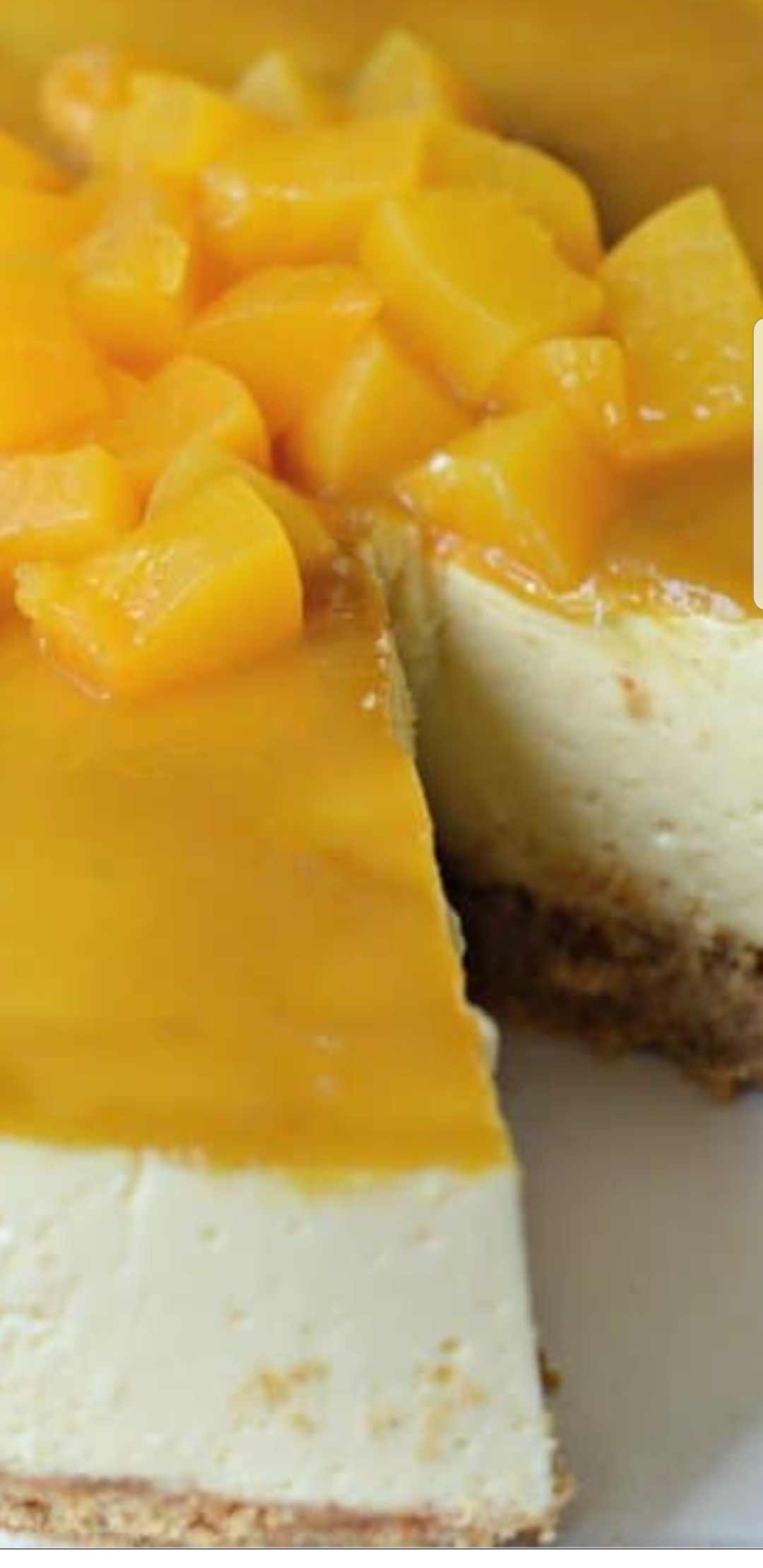 Order Mango Cheesecake  food online from 2 Chefs store, Florence on bringmethat.com