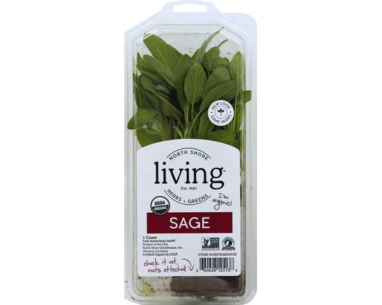 Order North Shore Living Herbs · Organic Sage (1 ct) food online from Safeway store, Corte Madera on bringmethat.com