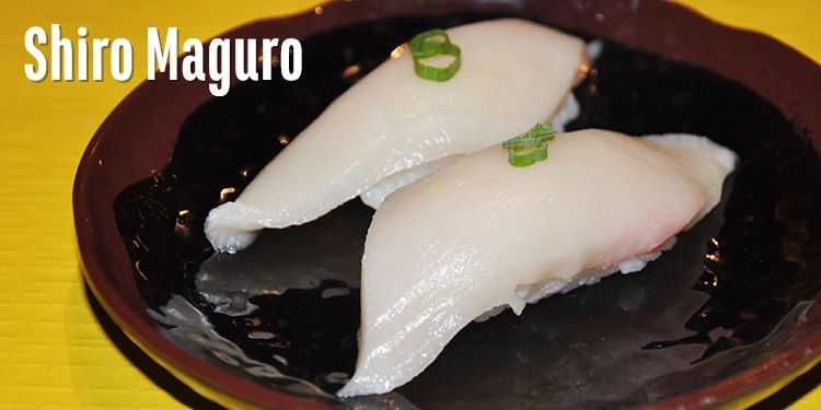 Order Shiro Maguro Sushi. food online from Gorilla Sushi store, Chicago on bringmethat.com