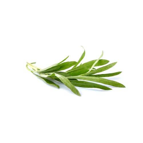 Order North Shore Living · Organic Tarragon (1 bunch) food online from Vons store, Yucca Valley on bringmethat.com