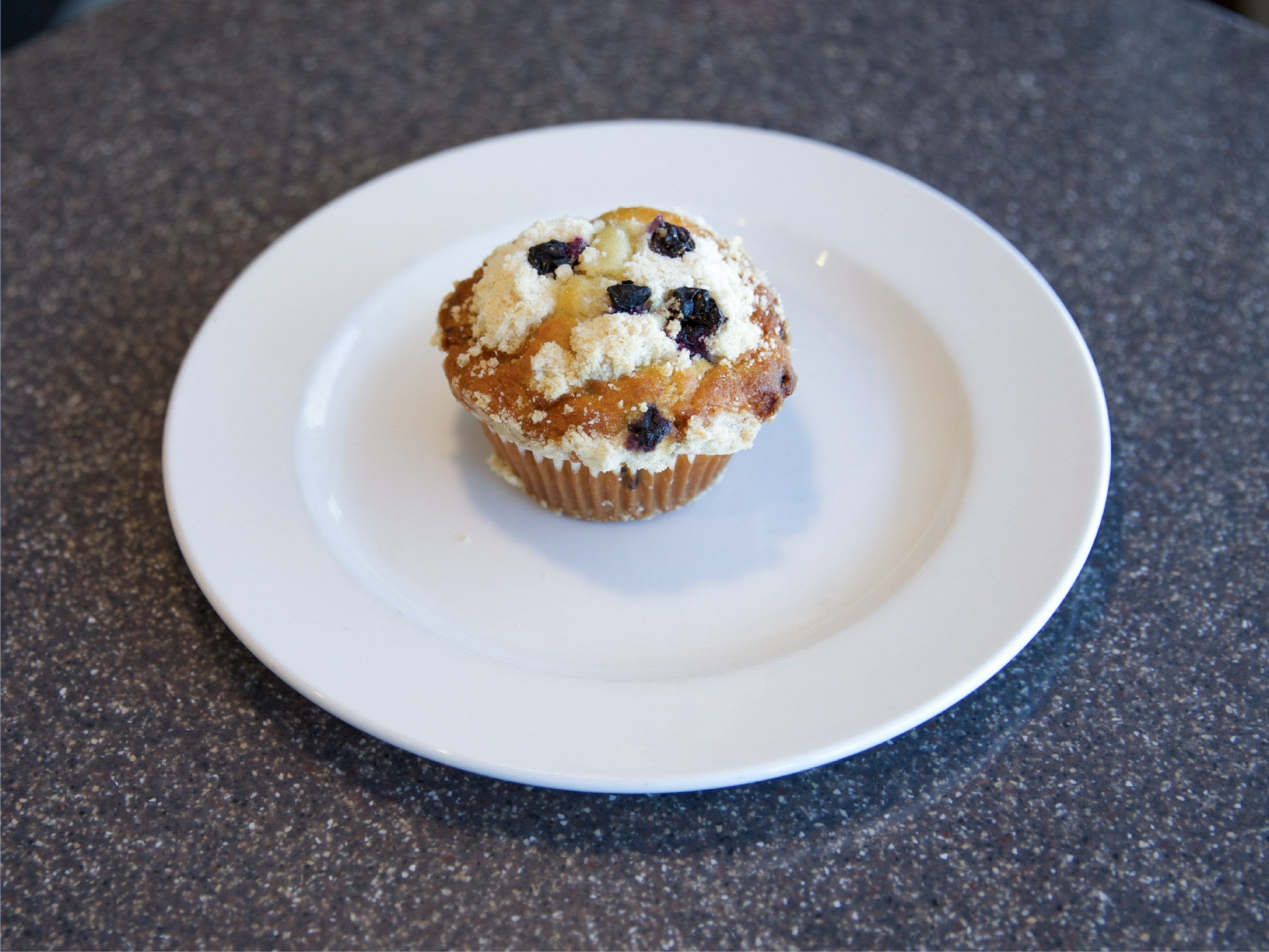 Order Blueberry Muffin food online from Blue Kangaroo Cafe store, Barrington on bringmethat.com