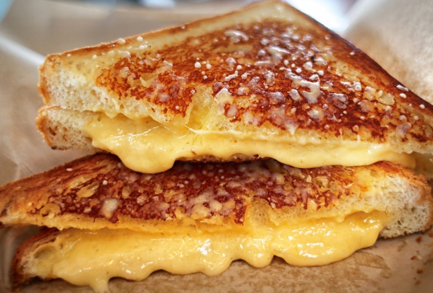 Order Grilled Cheese with Fries food online from Fatty Magoos Bar & Eatery store, Bolingbrook on bringmethat.com