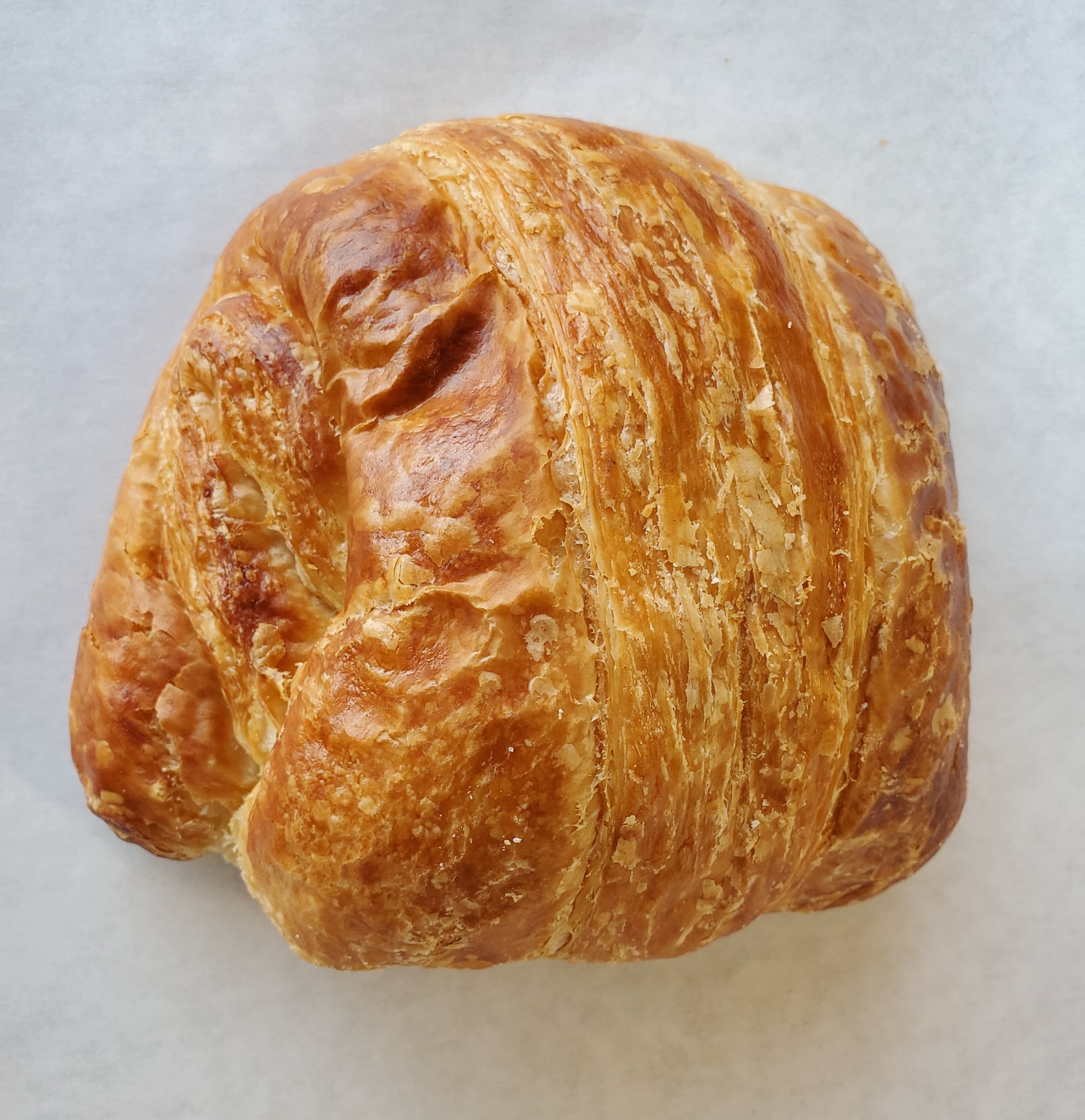 Order Cheese Croissant food online from Honey Donuts store, Crowley on bringmethat.com