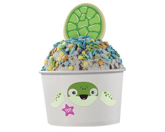 Order Sea Turtle  food online from Baskin-Robbins store, Cleveland on bringmethat.com