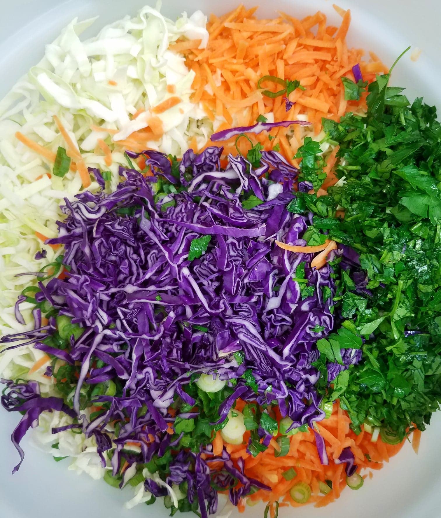 Order Side of House Coleslaw food online from Doglicious Hot Dogs store, Glendale on bringmethat.com