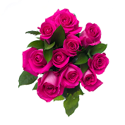 Order Premium Large Rose BQT food online from QuickChek store, Whippany on bringmethat.com