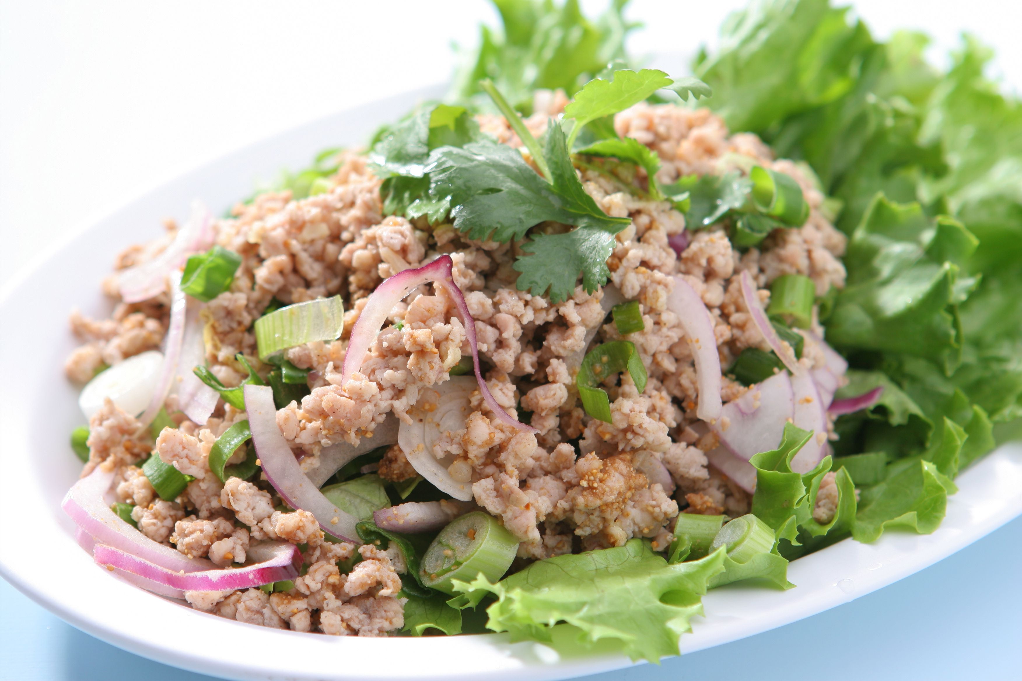 Order Chicken Larb Salad food online from Hollywood Noodle store, Arcadia on bringmethat.com