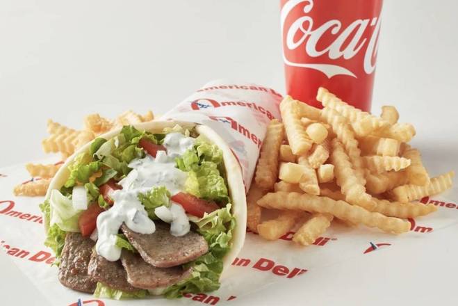 Order Gyro Meal (Fries and Drink) food online from American Deli store, Statesville on bringmethat.com