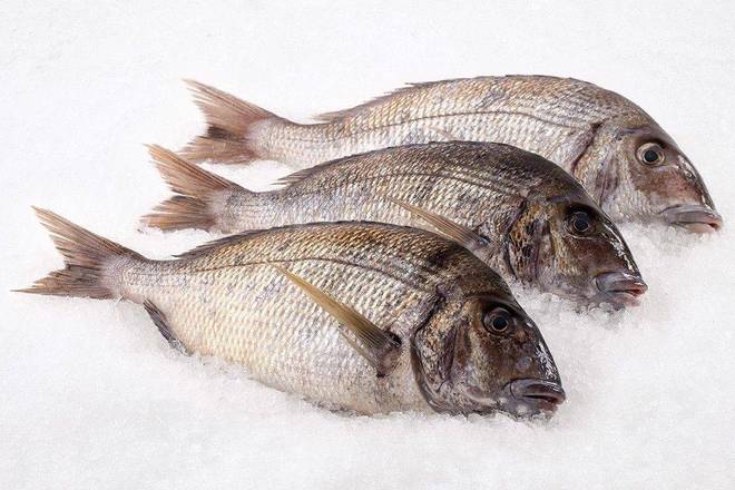 Order Cleaned Porgy (Each) food online from Ctown Supermarkets store, Uniondale on bringmethat.com