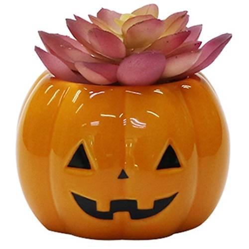 Order Festive Voice Ceramic Character Succulent - 1.0 ea food online from Walgreens store, Rio Rancho on bringmethat.com