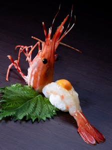 Order Sweet Shrimp (Amaebi) food online from Oyama Sushi & Steakhouse store, Cedar Rapids on bringmethat.com