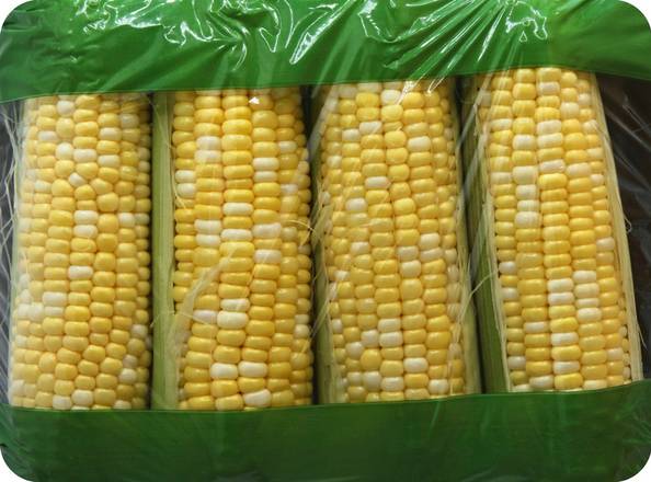 Order Produce · Corn (4 corns) food online from ACME Markets store, Norristown on bringmethat.com