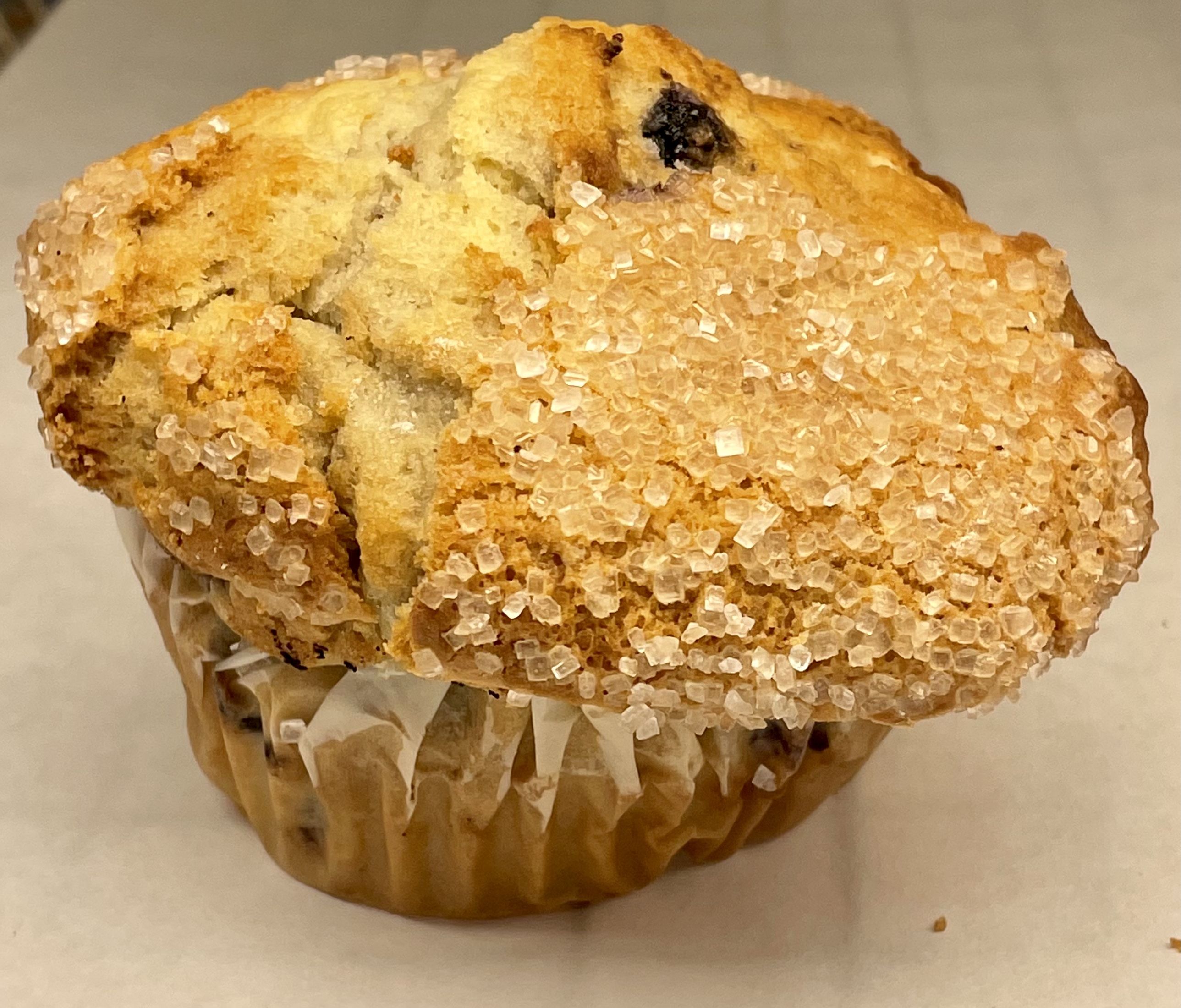 Order Blueberry Muffin food online from Boston Donuts store, Fitchburg on bringmethat.com