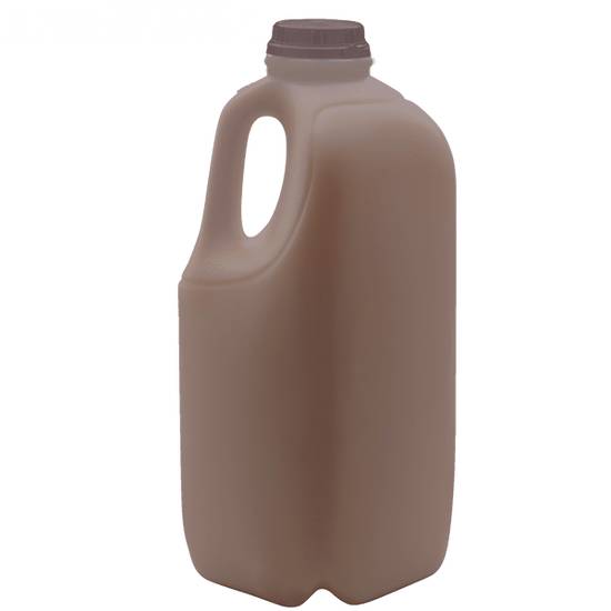 Order Chocolate Milk Half Gal. food online from Casey store, Elkins on bringmethat.com