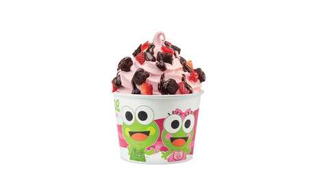 Order 12 oz. Cup  food online from sweetFrog store, Charlotte on bringmethat.com