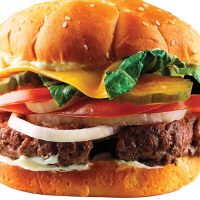 Order Cheese Burger food online from Americas Bestwings store, Hopewell on bringmethat.com