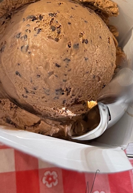 Order Dark Chocolate w/Chips Ice Cream food online from The Sweet Shop Nyc store, New York on bringmethat.com