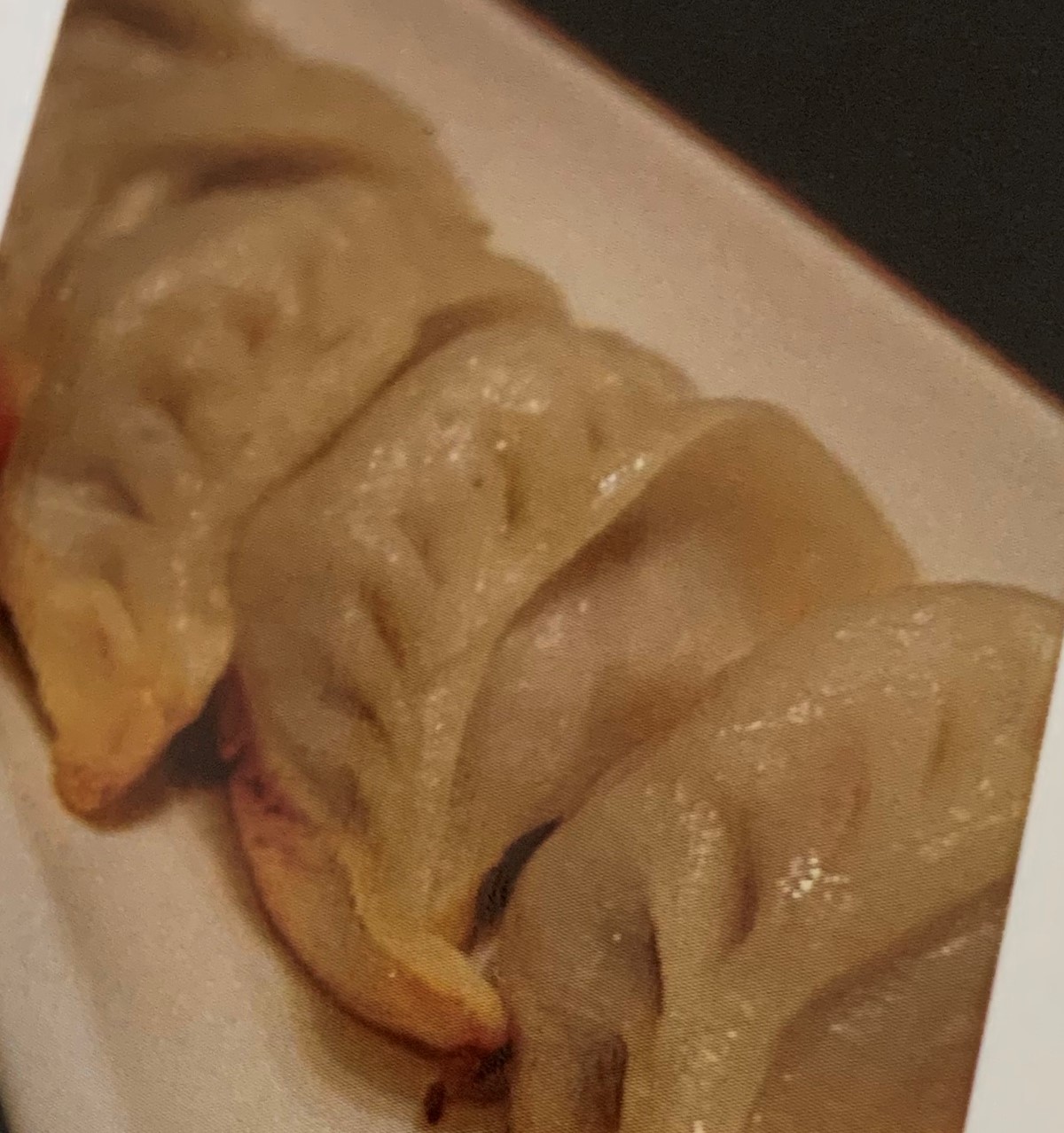 Order 6 Steam CK Pot Stickers food online from Secret Recipe Asian Bistro store, Plano on bringmethat.com