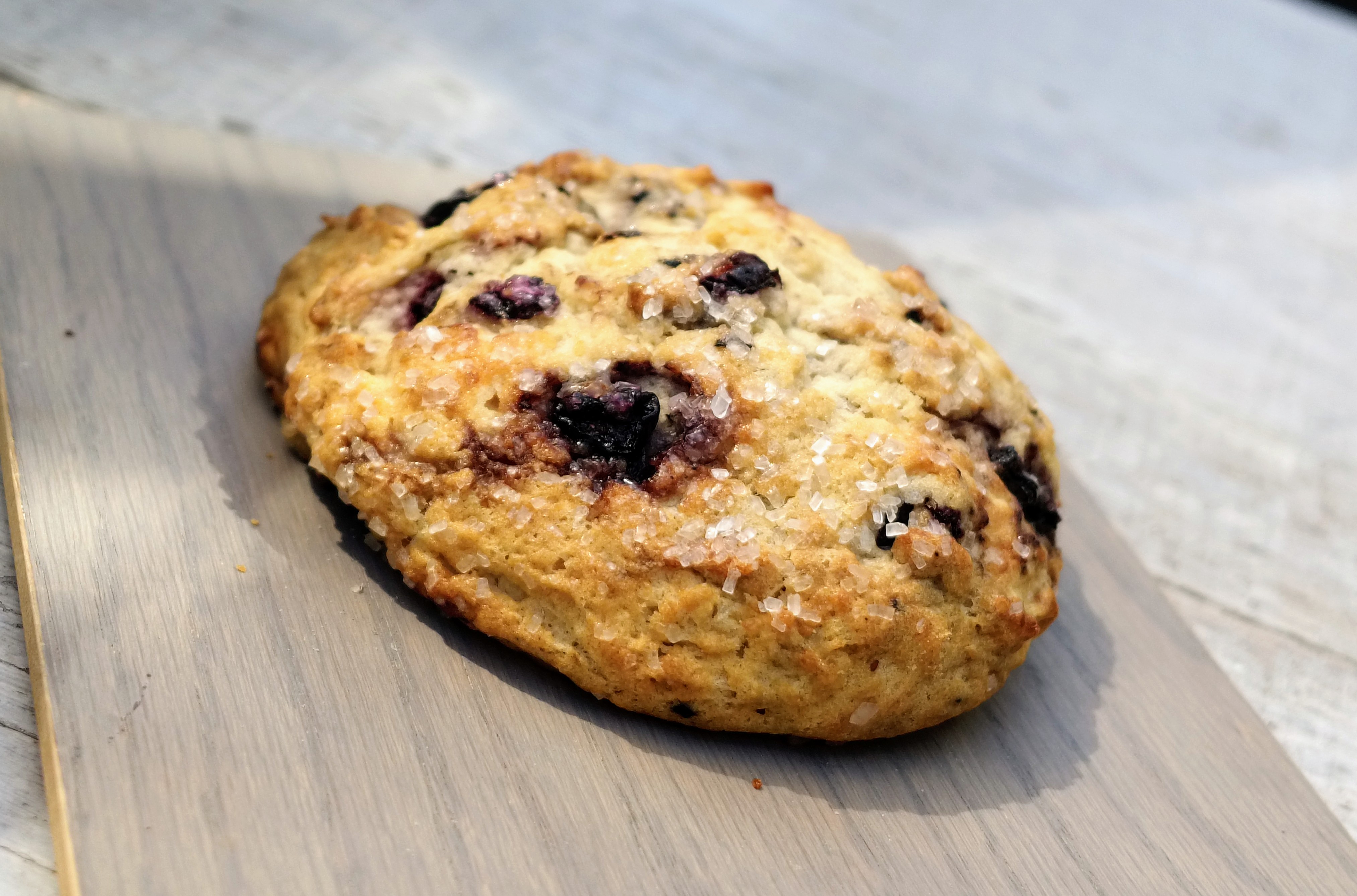 Order Blueberry Scone food online from Intentional Coffee store, Fullerton on bringmethat.com