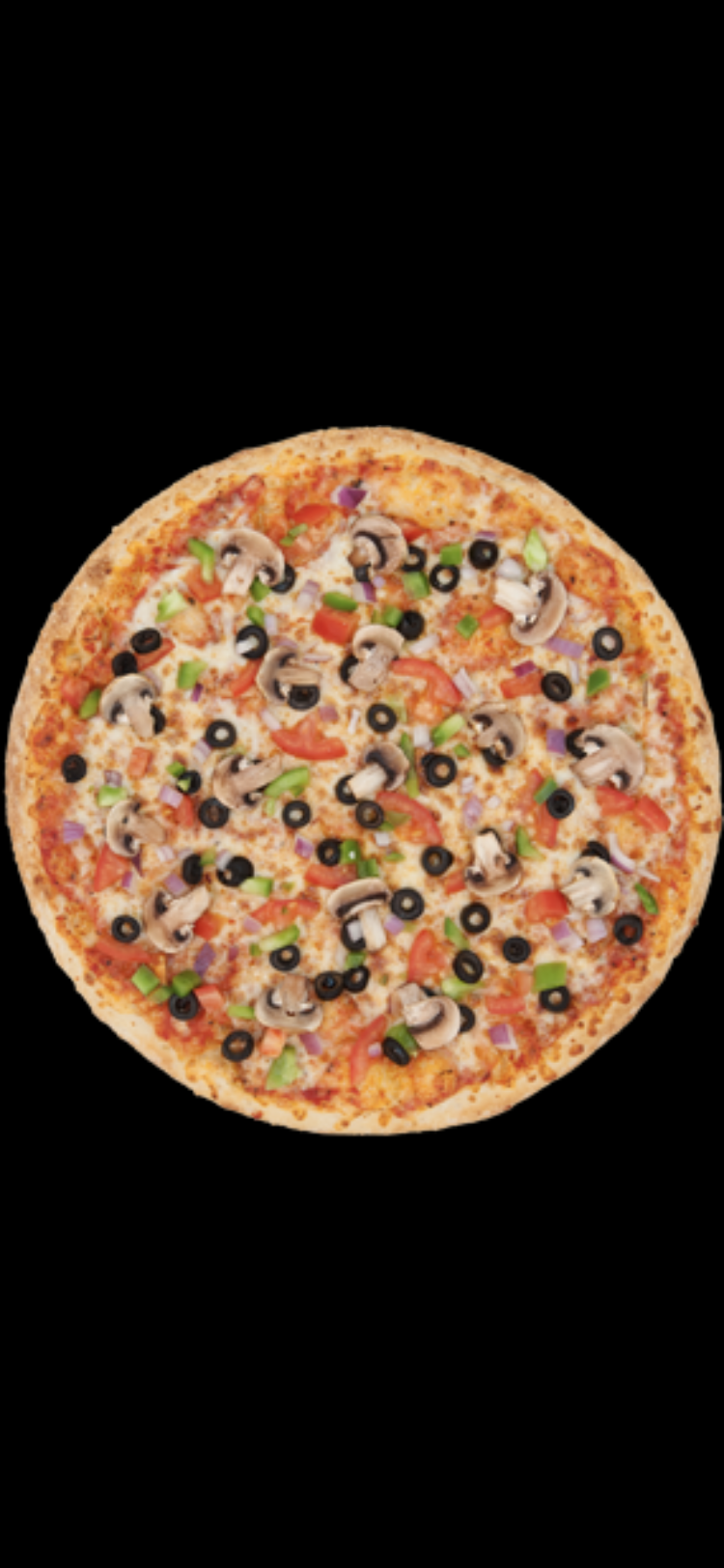 Order 14' Large Central Park Veggie Pizza food online from East Coast Enzo's Pizza store, Everett on bringmethat.com