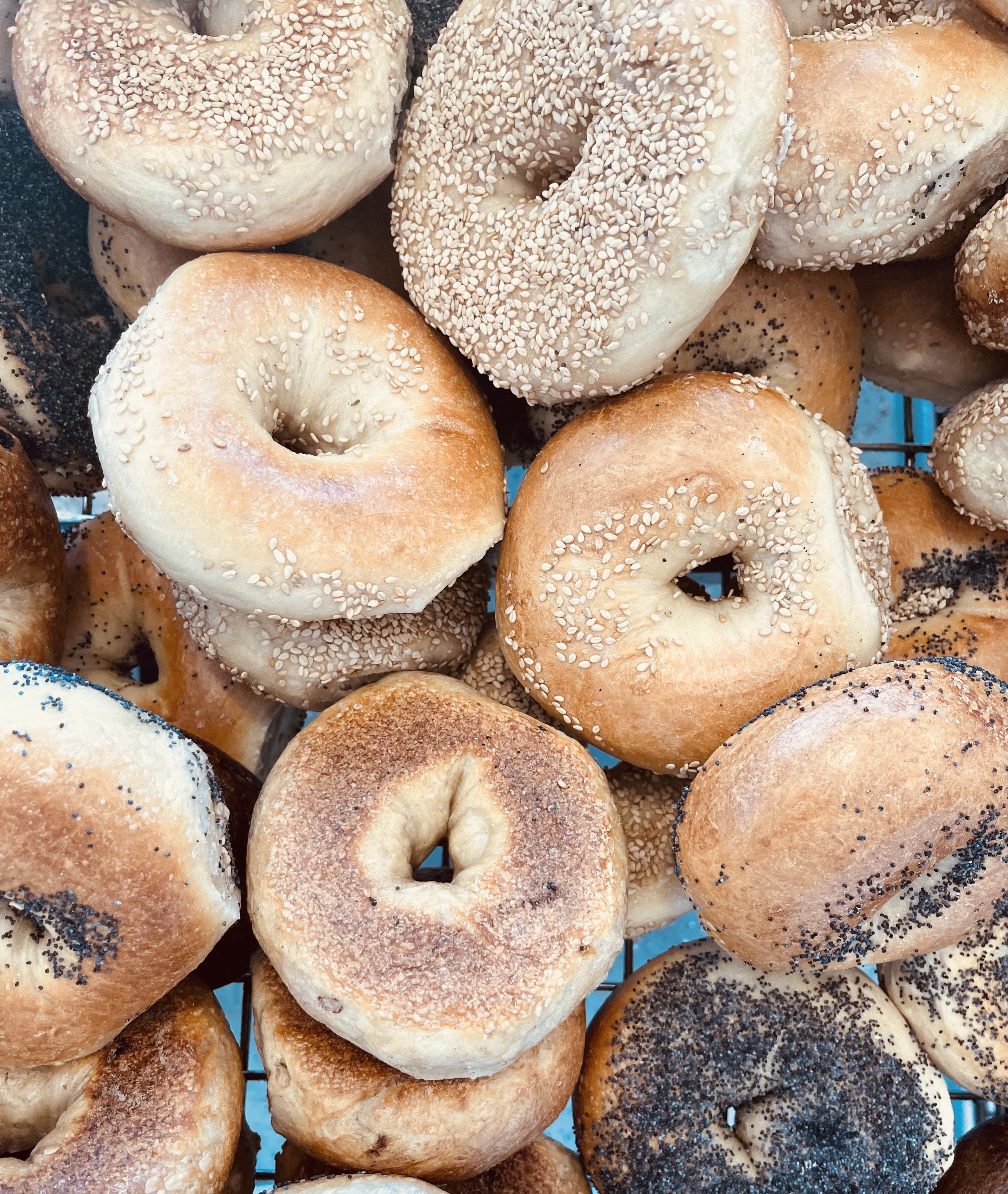Order Bagel food online from Bagelry store, Rockville Centre on bringmethat.com