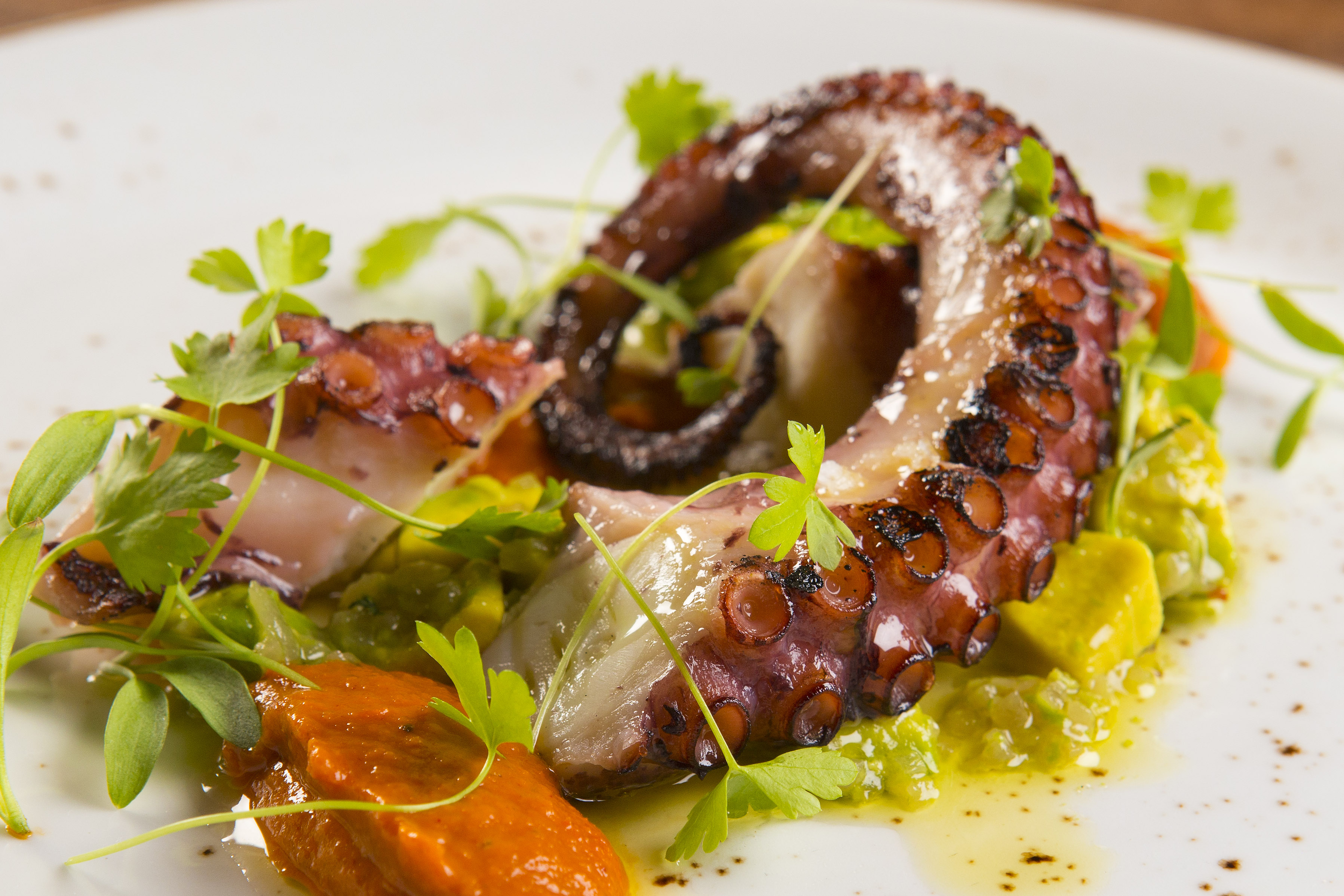 Order Grilled Spanish Octopus (avail. 5-8pm only) food online from One Market Restaurant store, San Francisco on bringmethat.com