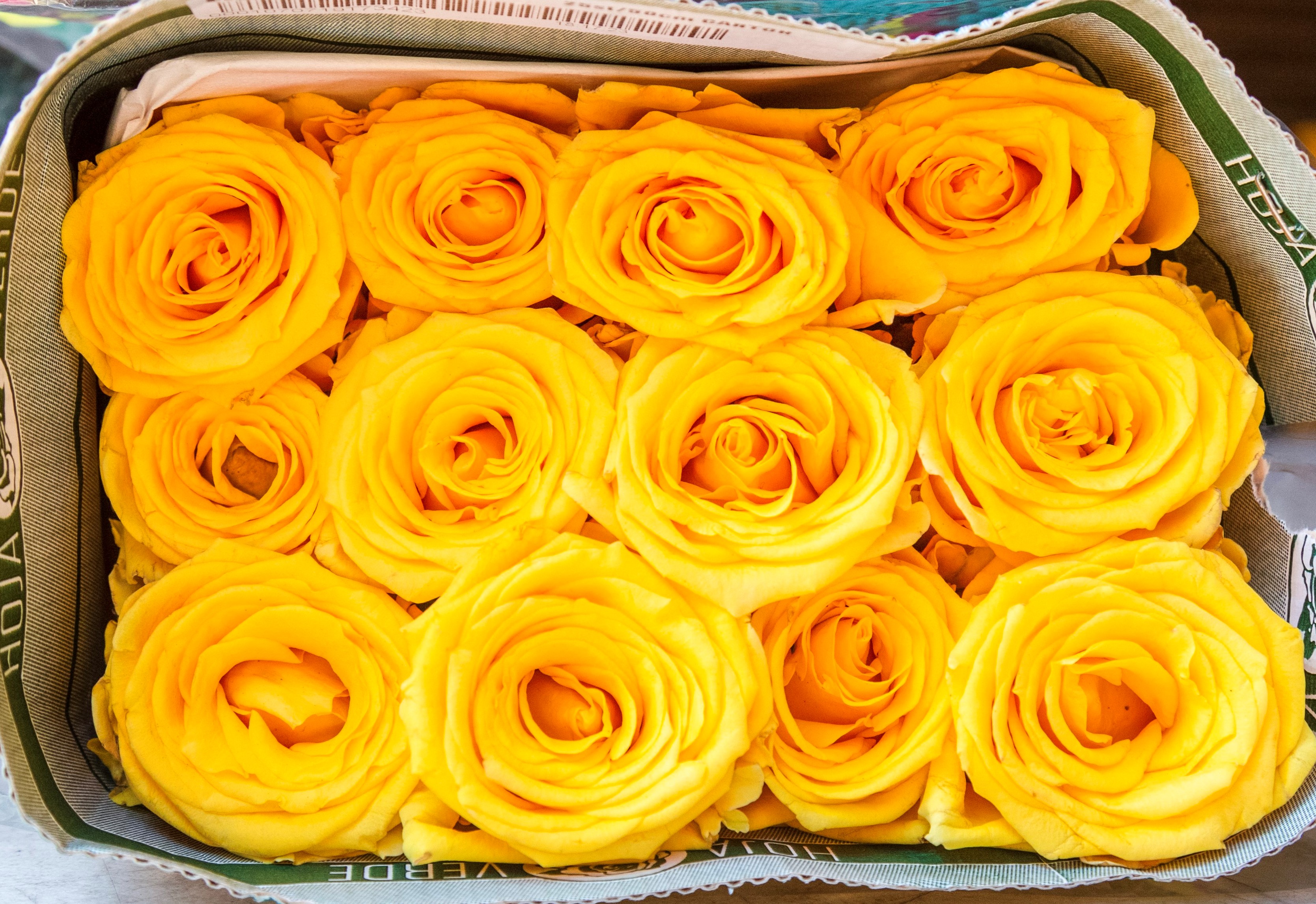 Order 25 Stem Yellow Roses food online from Flowertruckla store, Torrance on bringmethat.com