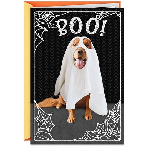 Order Hallmark Funny Halloween Card (Dog in a Ghost Costume)(S2) - 1.0 ea food online from Walgreens store, CANASTOTA on bringmethat.com
