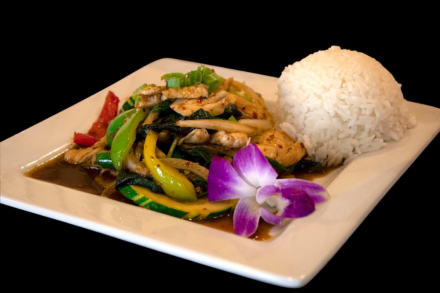 Order E9 PAD BASIL food online from Thai Lucky Restaurant store, San Antonio on bringmethat.com
