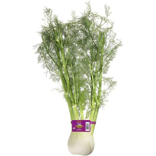 Order Organic Fennel (1 ct) food online from Albertsons Express store, Watauga on bringmethat.com